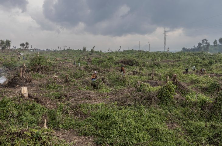 🎧 Quand les conflits armés laissent des cicatrices profondes sur l'environnement