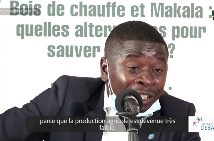 Quid des alternatives pour sauver la forêt