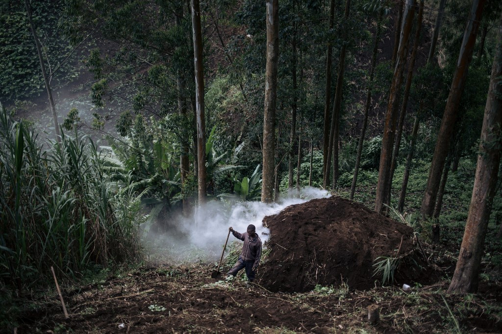 Journée Internationale de la biodiversité : la RDC à l’heure de la déforestation