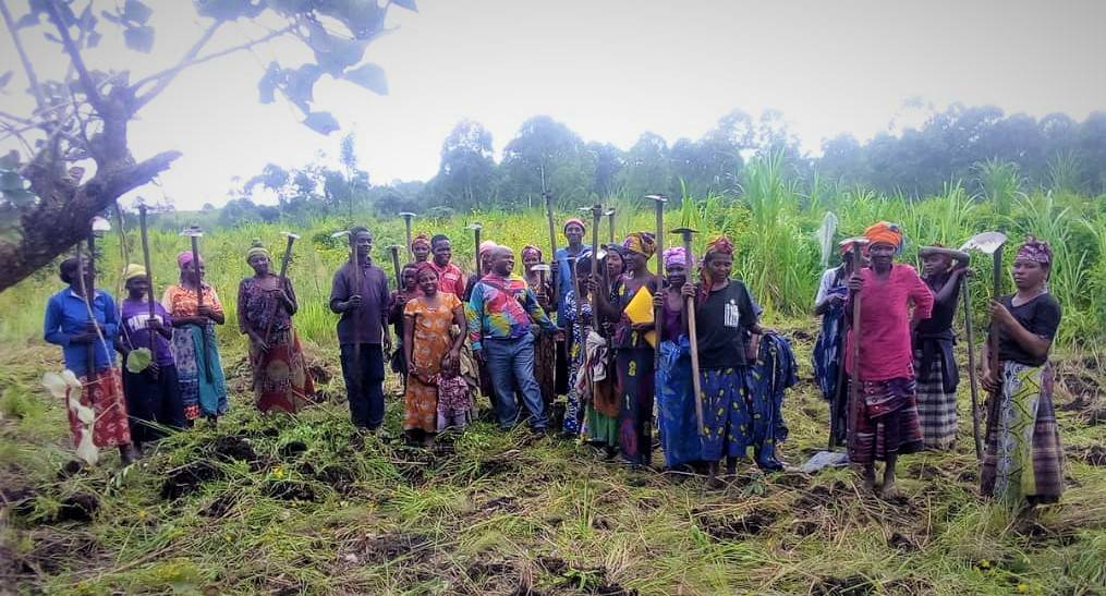 Covid-19 : Des pygmées abandonnent momentanément  la chasse  au profit de l’agriculture