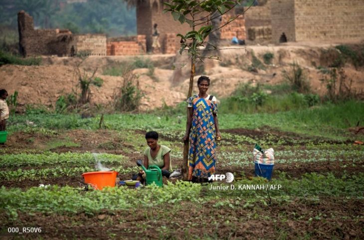 Equateur : les femmes ont du mal à jouir de leur droit de propriété foncière