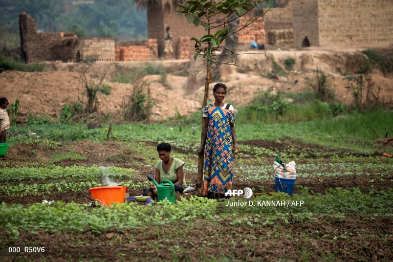 Equateur : les femmes ont du mal à jouir de leur droit de propriété foncière