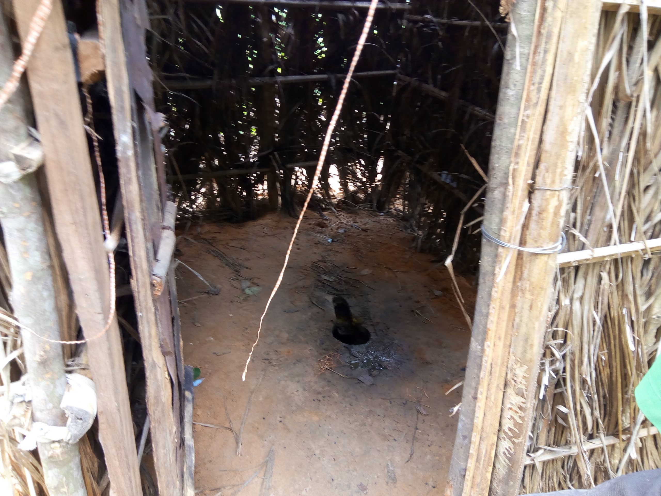 Kananga : 20 % de ménages manquent de latrines hygiéniques  à Tudikolele