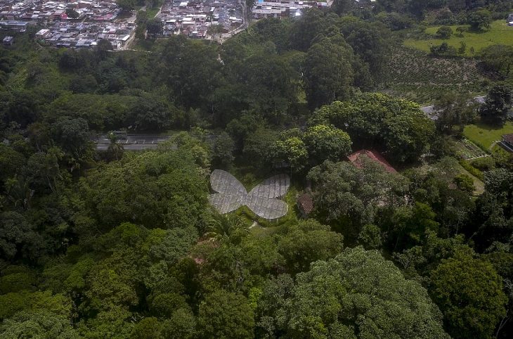 Les espaces verts en voie de disparition en RDC