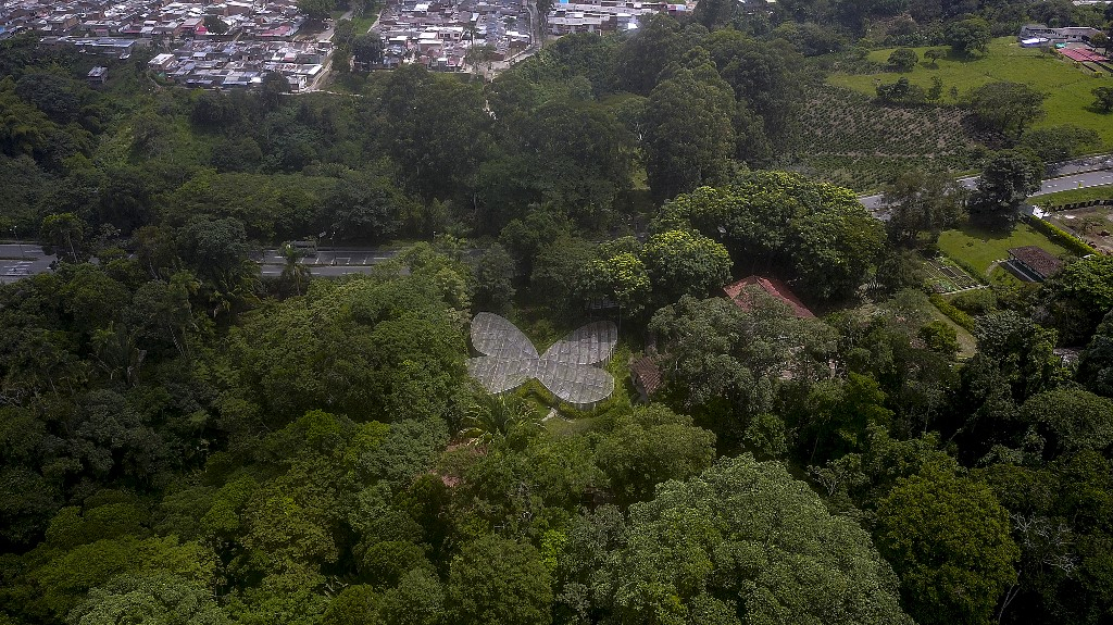 Les espaces verts en voie de disparition en RDC