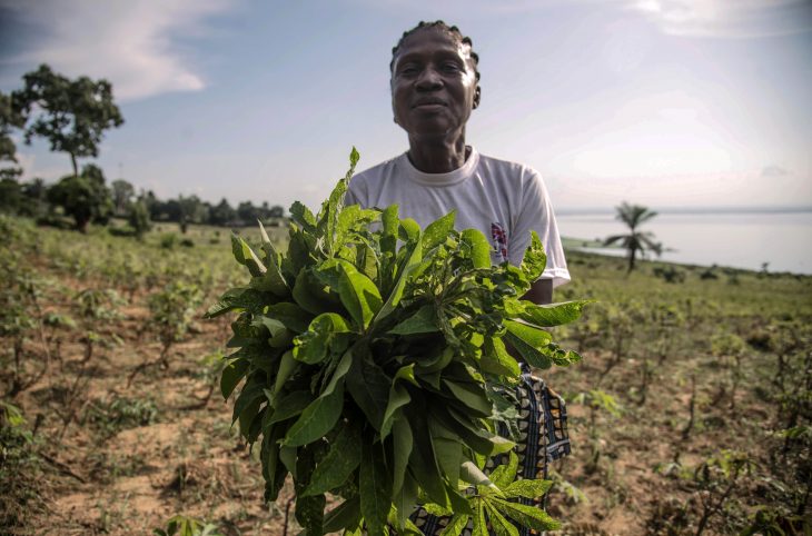 Environnement : Des femmes d’Isangi formées sur des pratiques agricoles qui préservent la terre