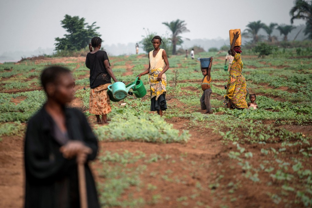 Covid-19 : Face à la crise, les maraichères de la RDC à bout de souffle